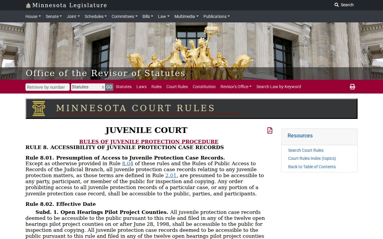 Stearns County case search juvenile protection access rule